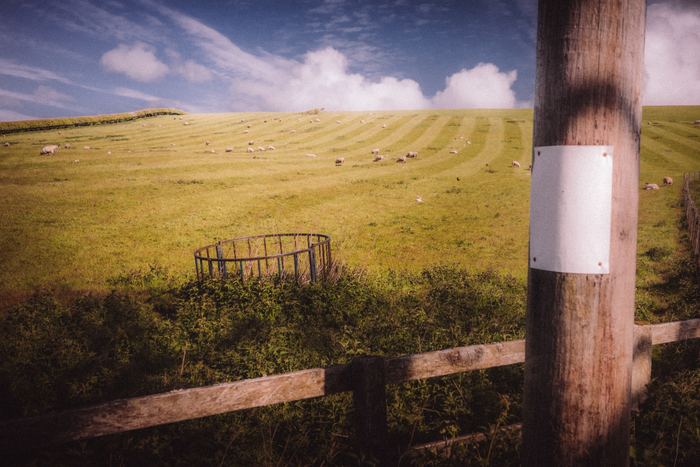 Haydon Bridge photograph 11