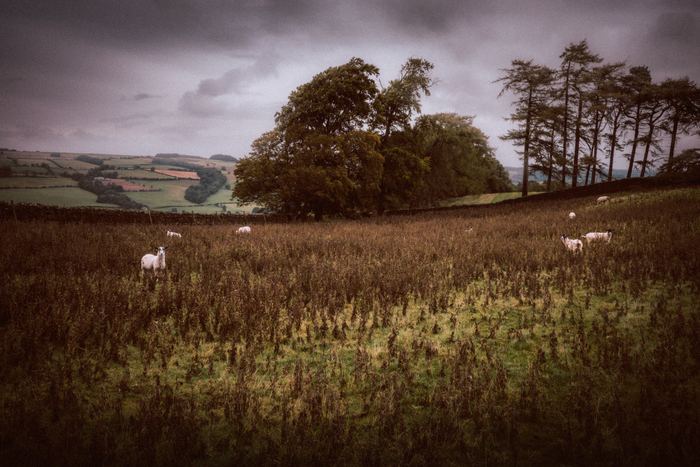 Haydon Bridge photograph 16