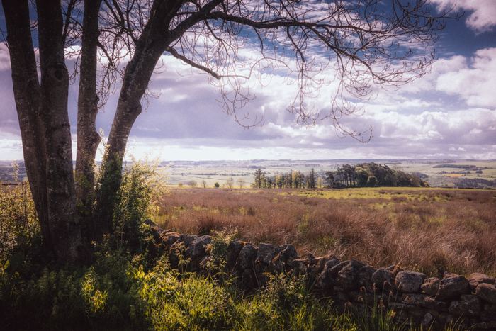 Haydon Bridge photograph 6